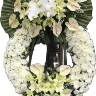 درباری تاجدار ۲