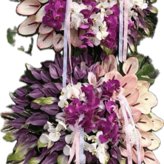 دو طبقه لوکس ۱